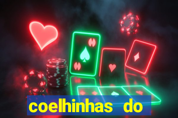 coelhinhas do brasil acompanhantes